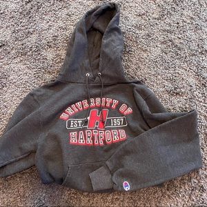 Champion hoodie